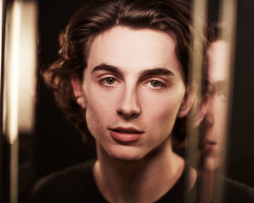 (image for) Timothée Chalamet #0164